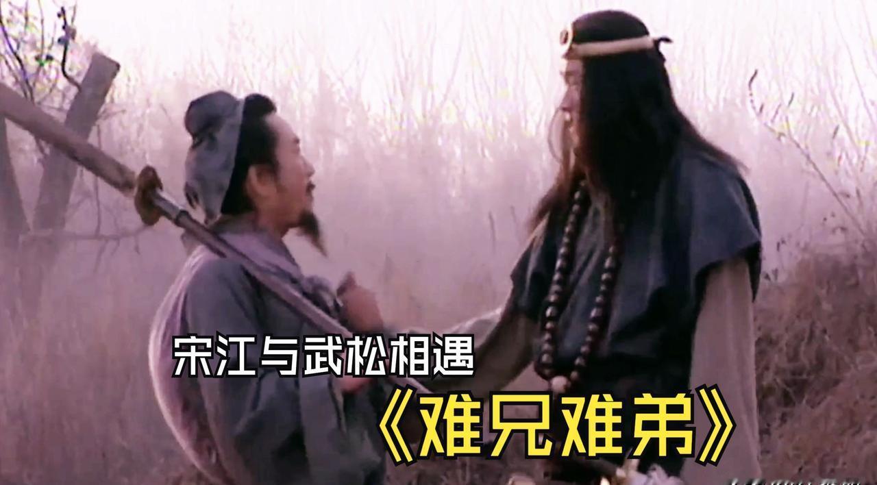 武松和宋江的兄弟情，其实早埋了雷。一个被体制打断胳膊，一个靠体制做梦。菊花会