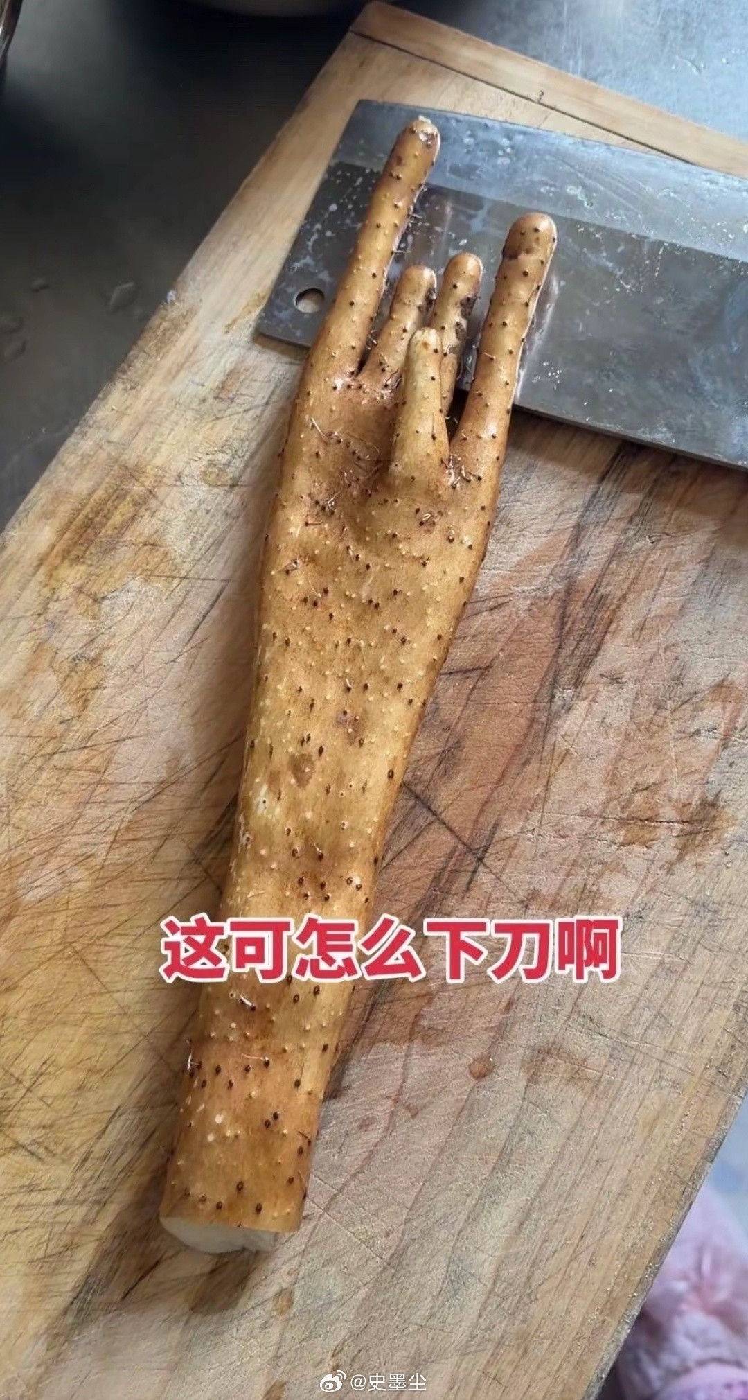 大自然真的很神奇，有时候有些东西让你无法接受