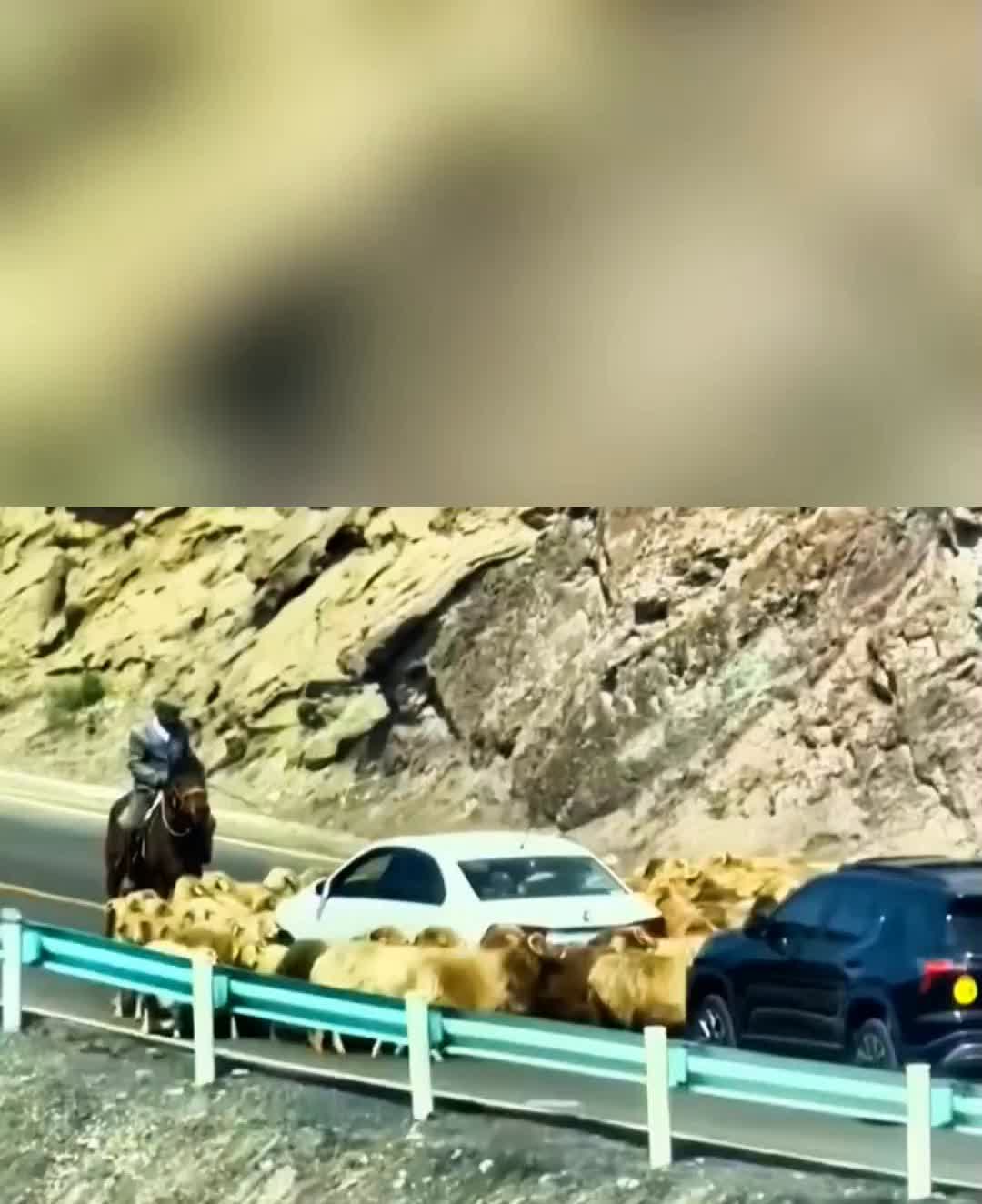 开车牢记的10条开车口诀，一辈子开车零事故，你想要吗？想要的打想，祝所有打响的朋