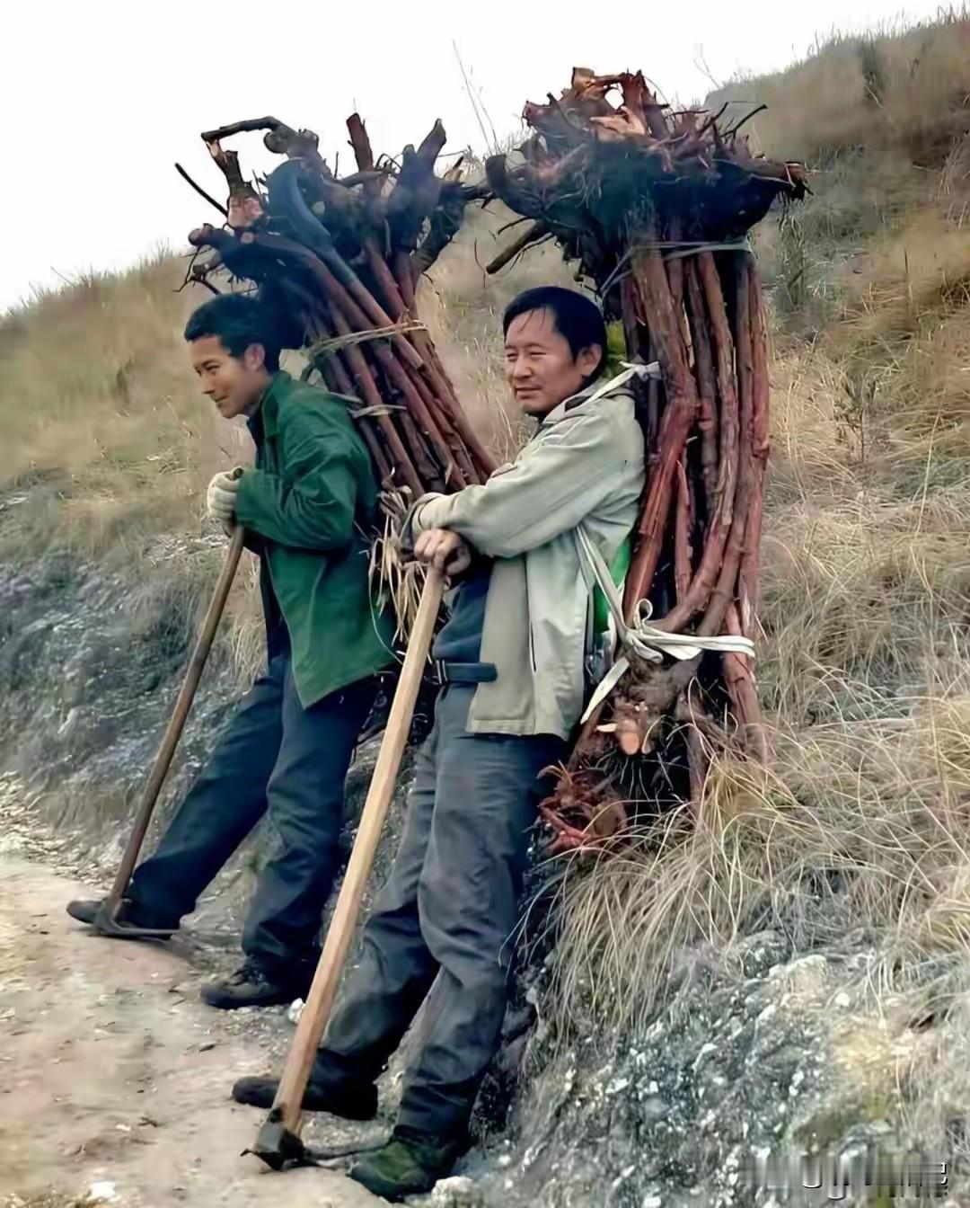 这就是传说中的砍柴吗