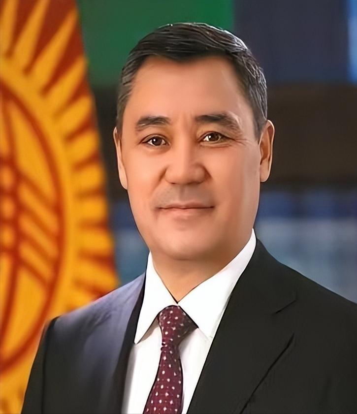 我看到这条新闻的时候，后背都麻了一下。若不是国家元首亲口道出，此事着实难令人