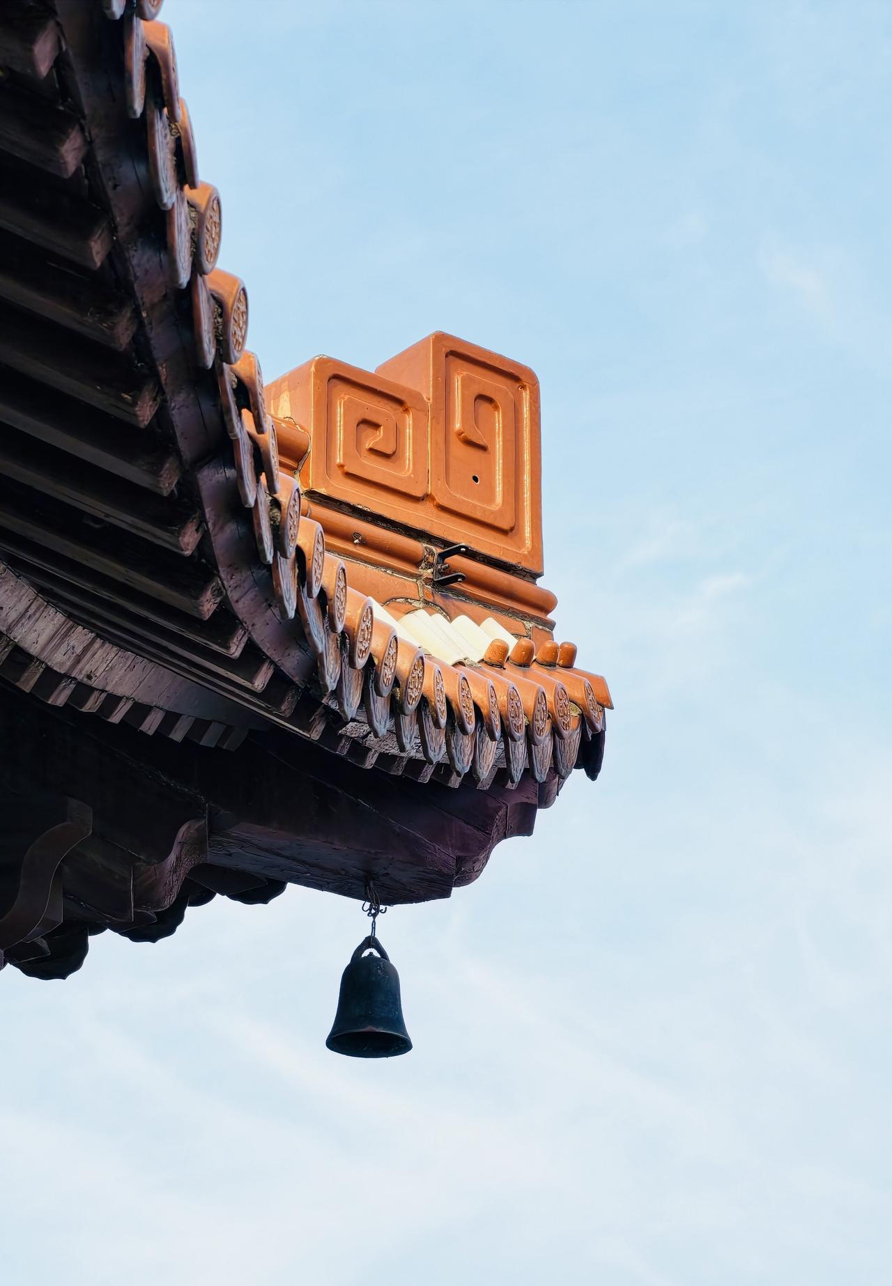 春风拂镜湖，一城江南色，芜湖春日必打卡🤩春天的芜湖镜湖公园，是藏在市中心的