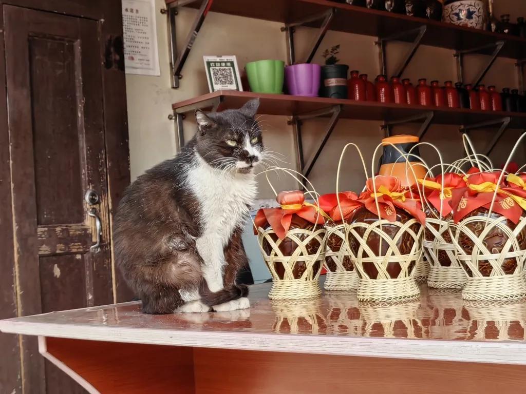 财富不是占有，而是一种陪伴…