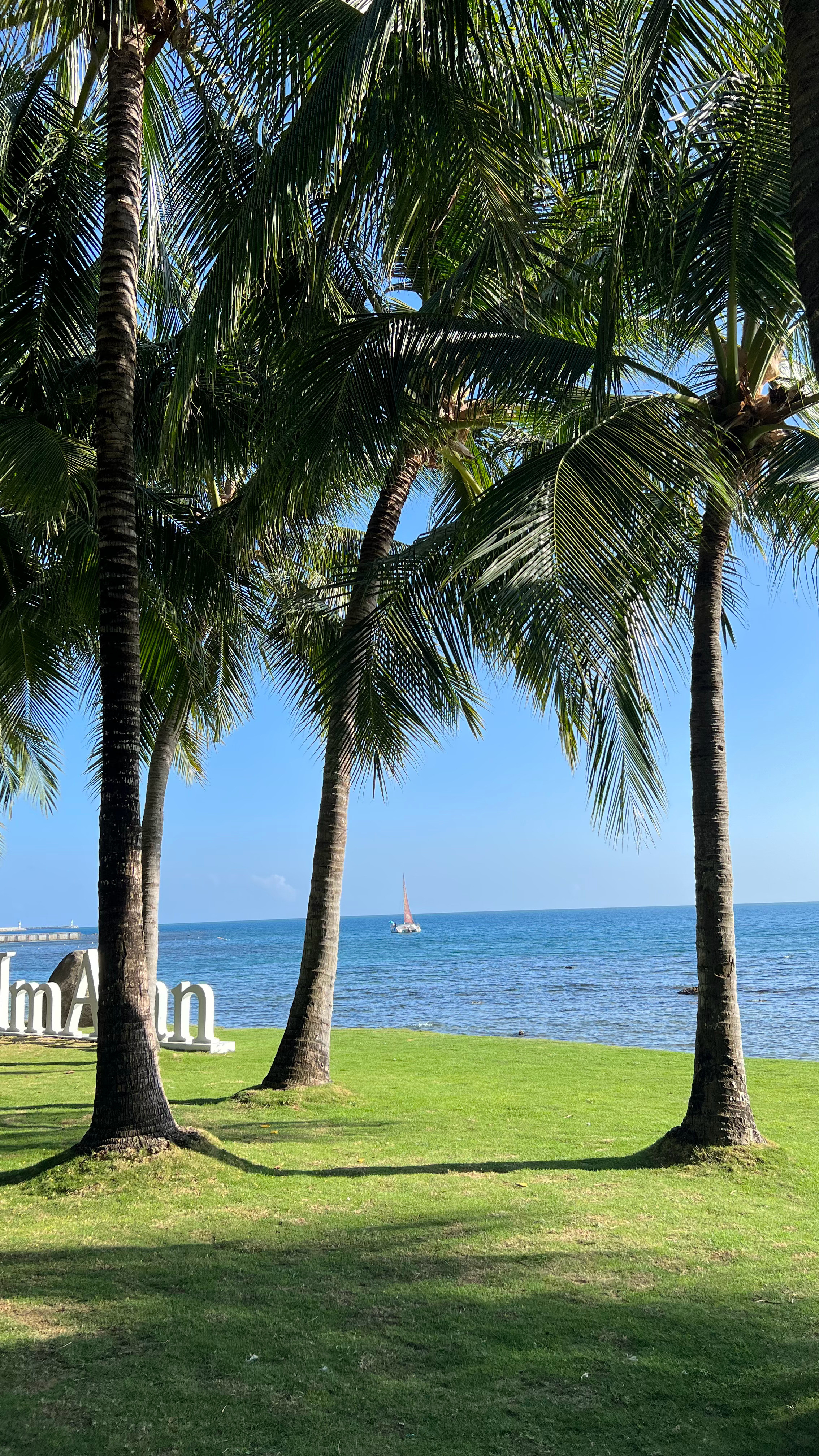 夏日就想去海边🏖️