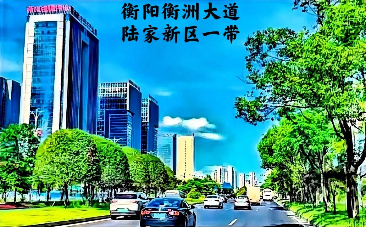 说实话，说到衡阳的城市环境，最好的也就是衡阳衡洲大道的陆家新区，和华新高新区一带