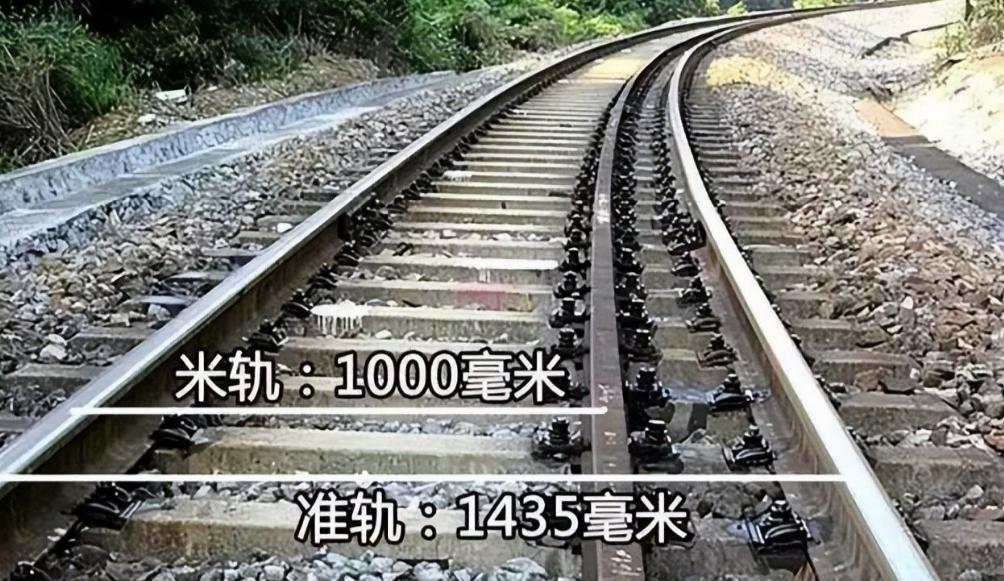 “统一这个词我认为是贬义词，发展才是王道，民生才是王道”，这是某个大聪明在网上的