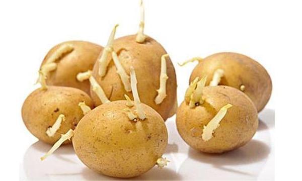 我家的米面就没有过期这回事。我从来不介意米面过期与否。我家的米面过期了，