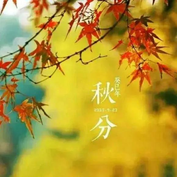 今日秋分天地各半，光阴对分昼夜均分，而寒暑平一半热烈，一半清朗正如生活
