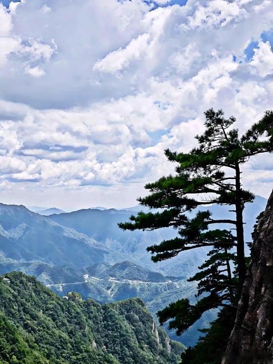 三伏天懒人避暑首选安徽明堂山，山林盛夏稳定23℃，整片茂密林海层层遮阳，进山瞬
