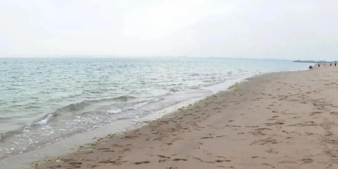 危急! 厦门一女子落水, 20年冬泳爱好者果断救人