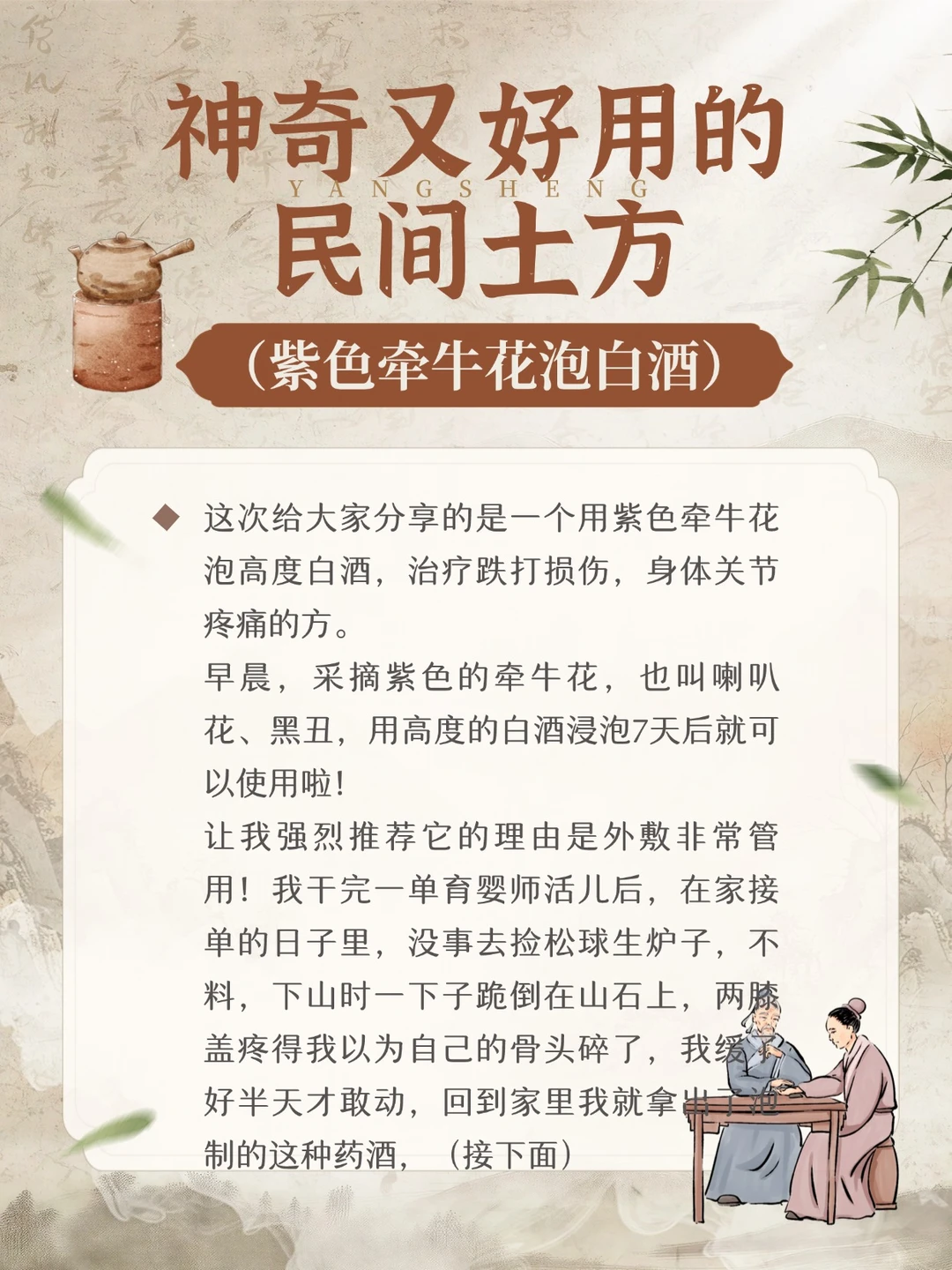 神奇又好用的民间土方--牵牛花泡白酒