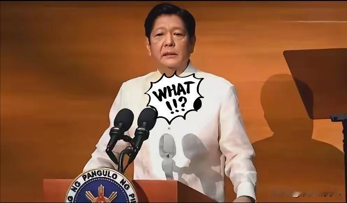 快报！快报！菲律宾突然宣布！11月1日南部战区官方确认，10月30日至3