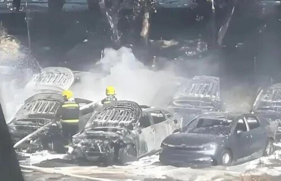 每年春夏杨絮漫天飘，不少路人嫌絮毛落得满地脏乱，可辽宁大连这位七旬大爷随手一把火