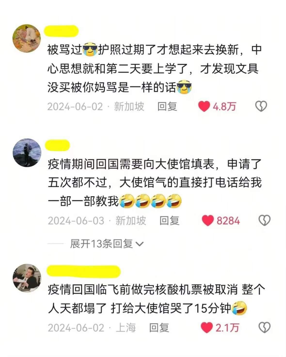 大使馆专治留子思乡之情​​​
