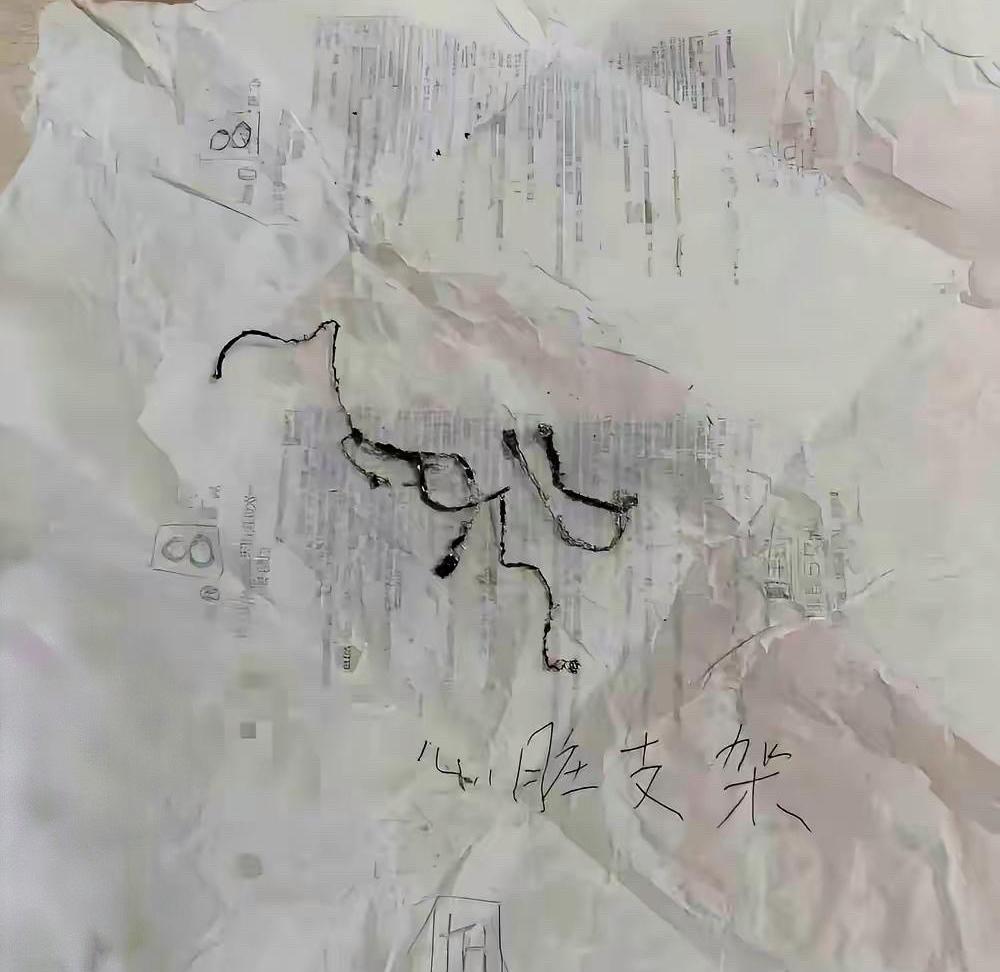 六个支架，没留住那个开车的人他是自己把车开进医院大门的。副驾坐着妻子，后