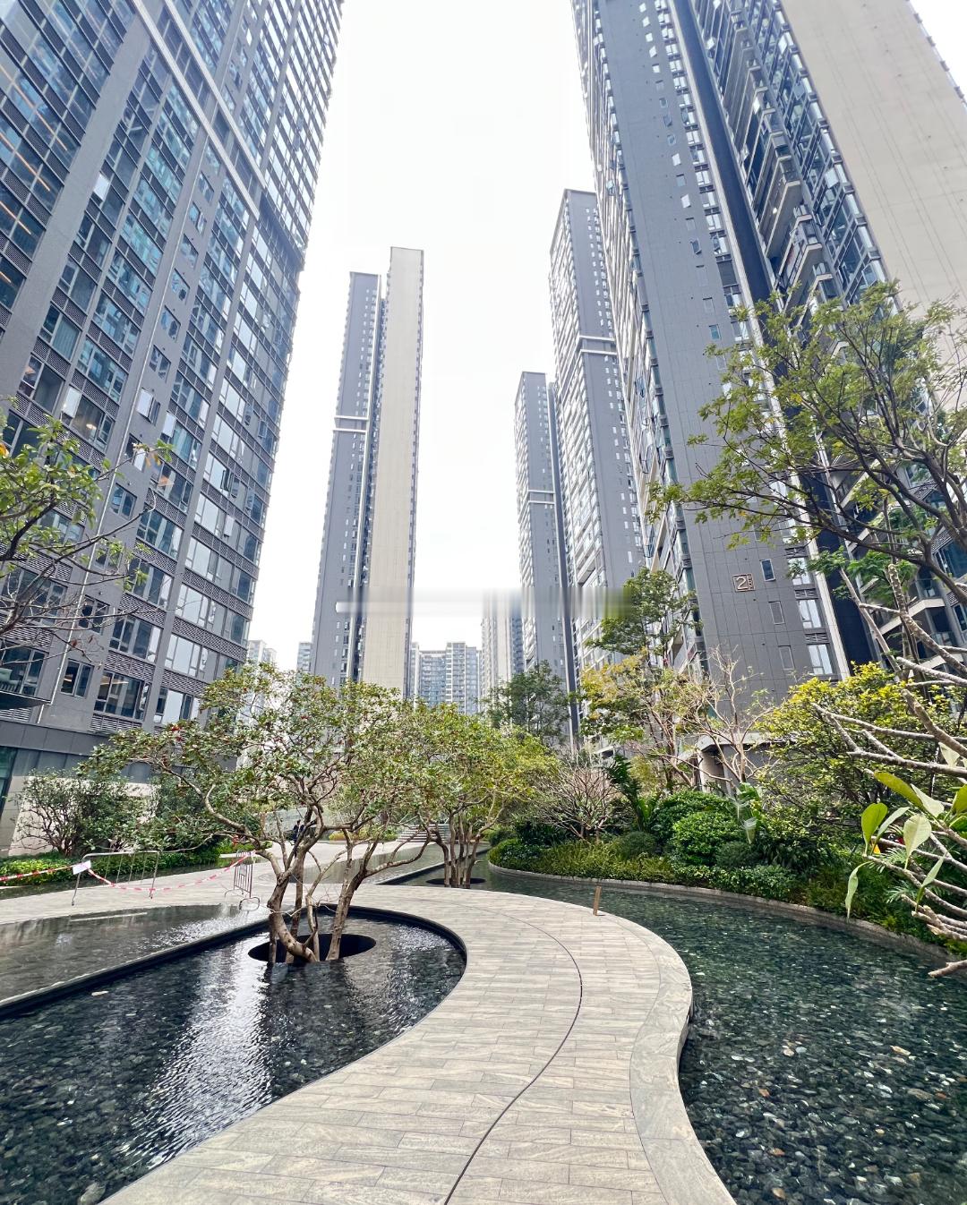 大运的租金涨的离谱，仁恒公园四季三期128平四房单位，去年7月份6500元/月，