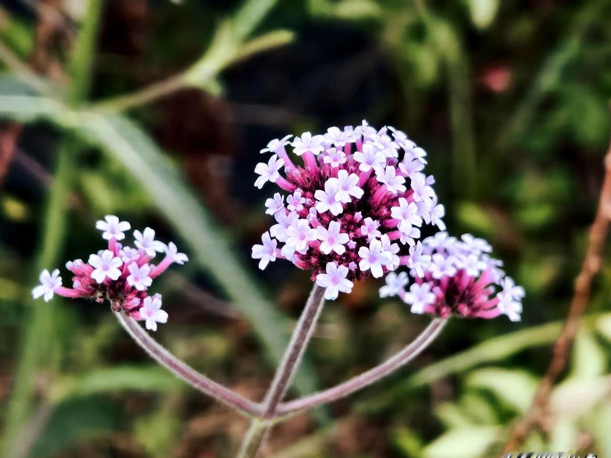 养育孩子，一定要教会孩子与人交往，在家时一家人全都围着他一个人转，他习惯了所有