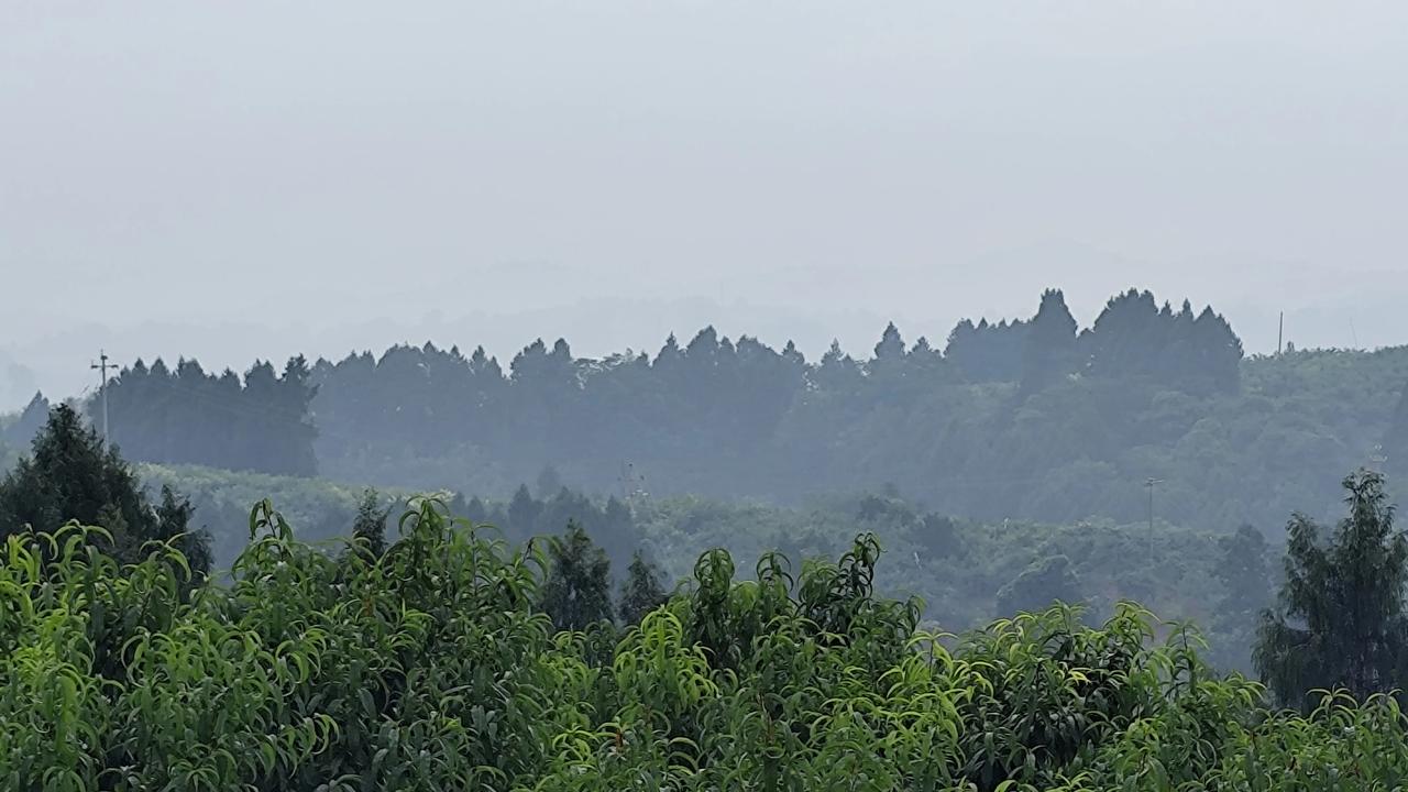 记录我的2026乡村风景欣赏分享一张最美的风景照