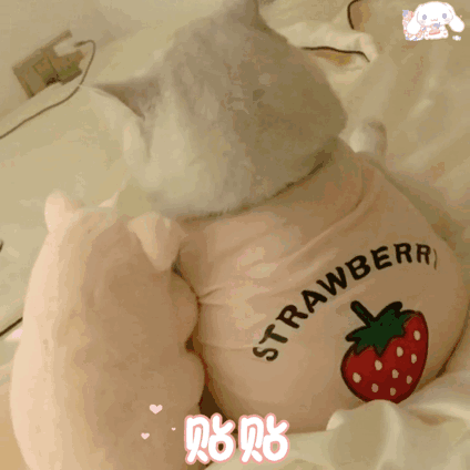 十二星座的恋爱内核：白羊：敢爱敢弃金牛：时间验真心双子：无交流即结束巨蟹：安全感