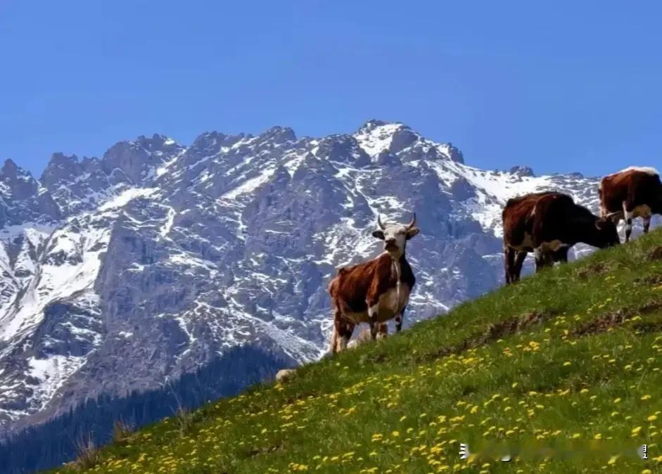 小独库S101省道最值得打卡的有几处？S101省道全程长309