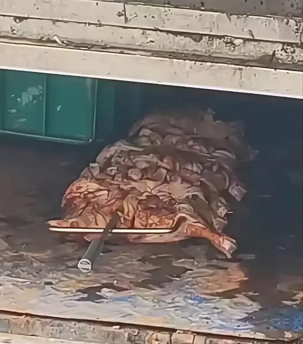 街头烤鸡路子是真野。。。