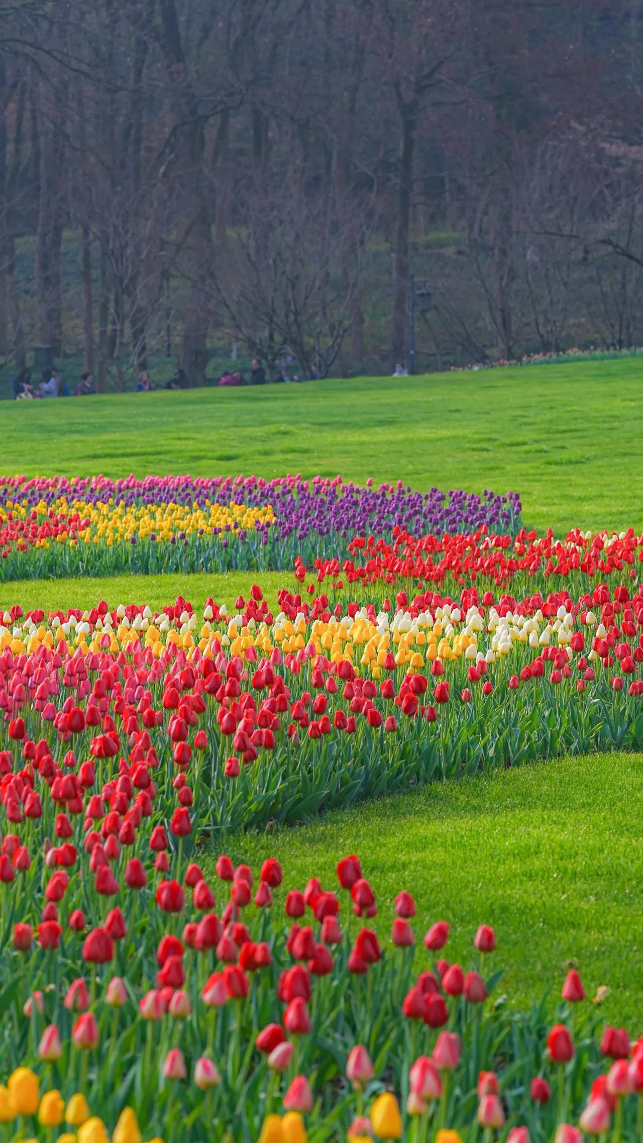 我有个朋友，家庭条件相当不错，年收入基本能过百万。可惜的是，他家孩子成绩不太好。