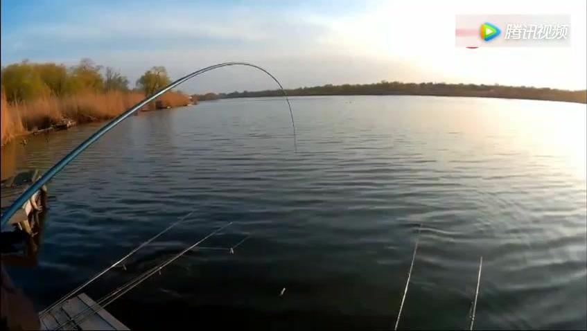 钓鱼看漂技巧视频高清