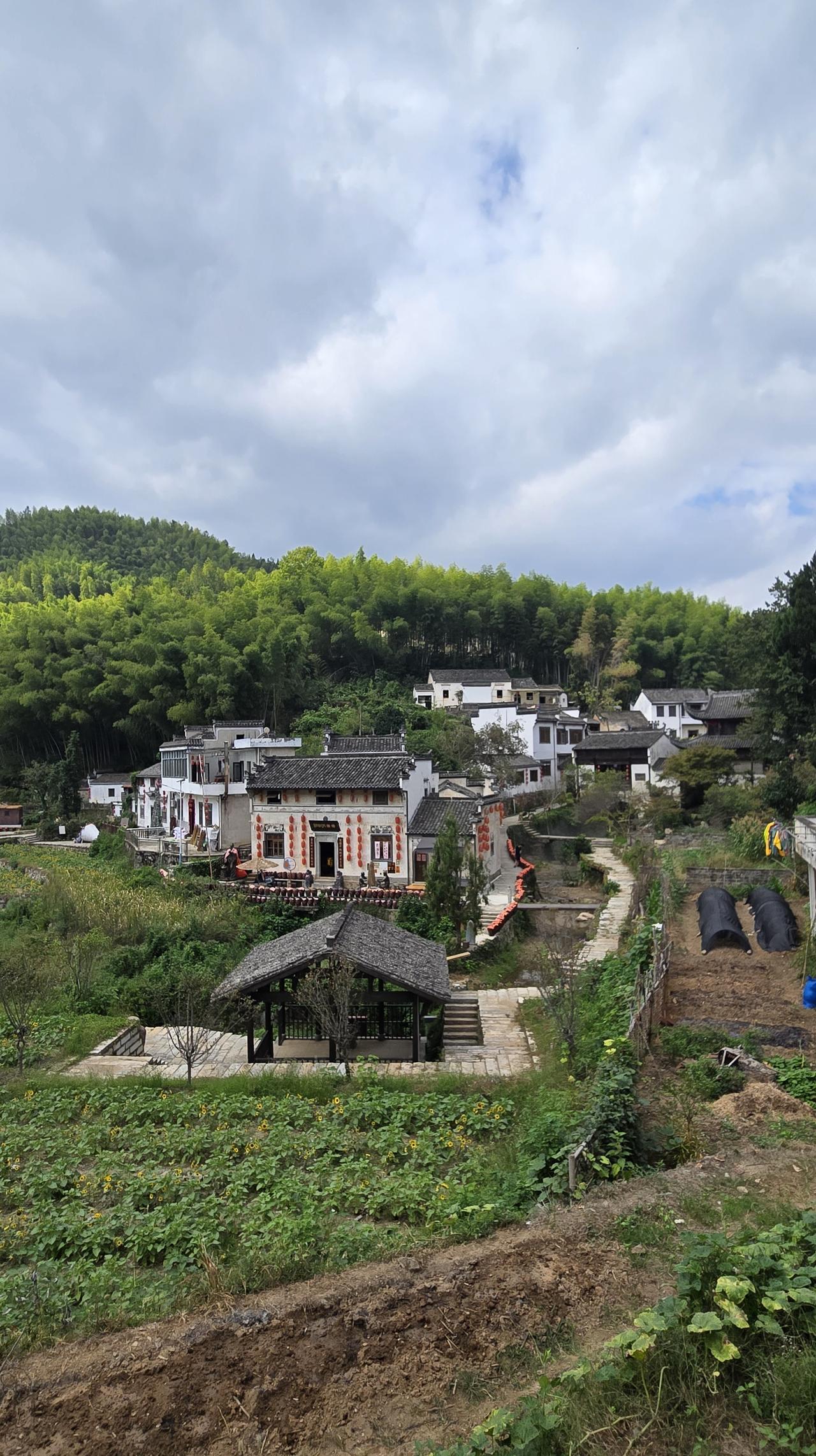 山东省最爱自驾游的城市，第一名绝对是济南。我常年在外自驾游，在外省这么说吧，鲁