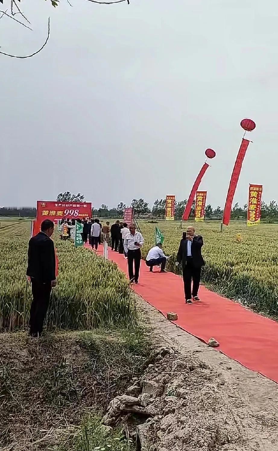 签到，通知，打卡，做秀，摆拍，照相，上传，总结，吃饭，奖金，下班，真累这一天天的
