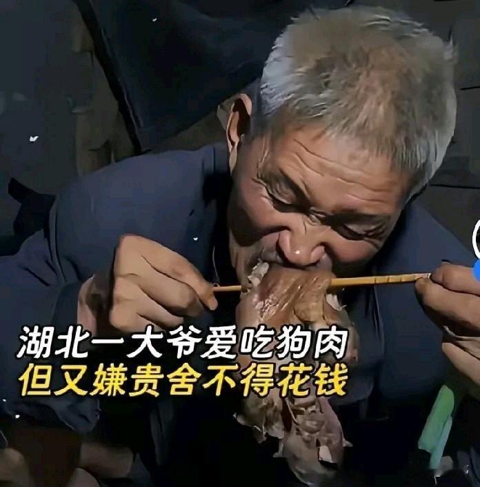 真的是太离谱了！一位大爷爱吃狗肉，但又嫌贵杀舍不得花钱，他居然想了一个昏招，养了