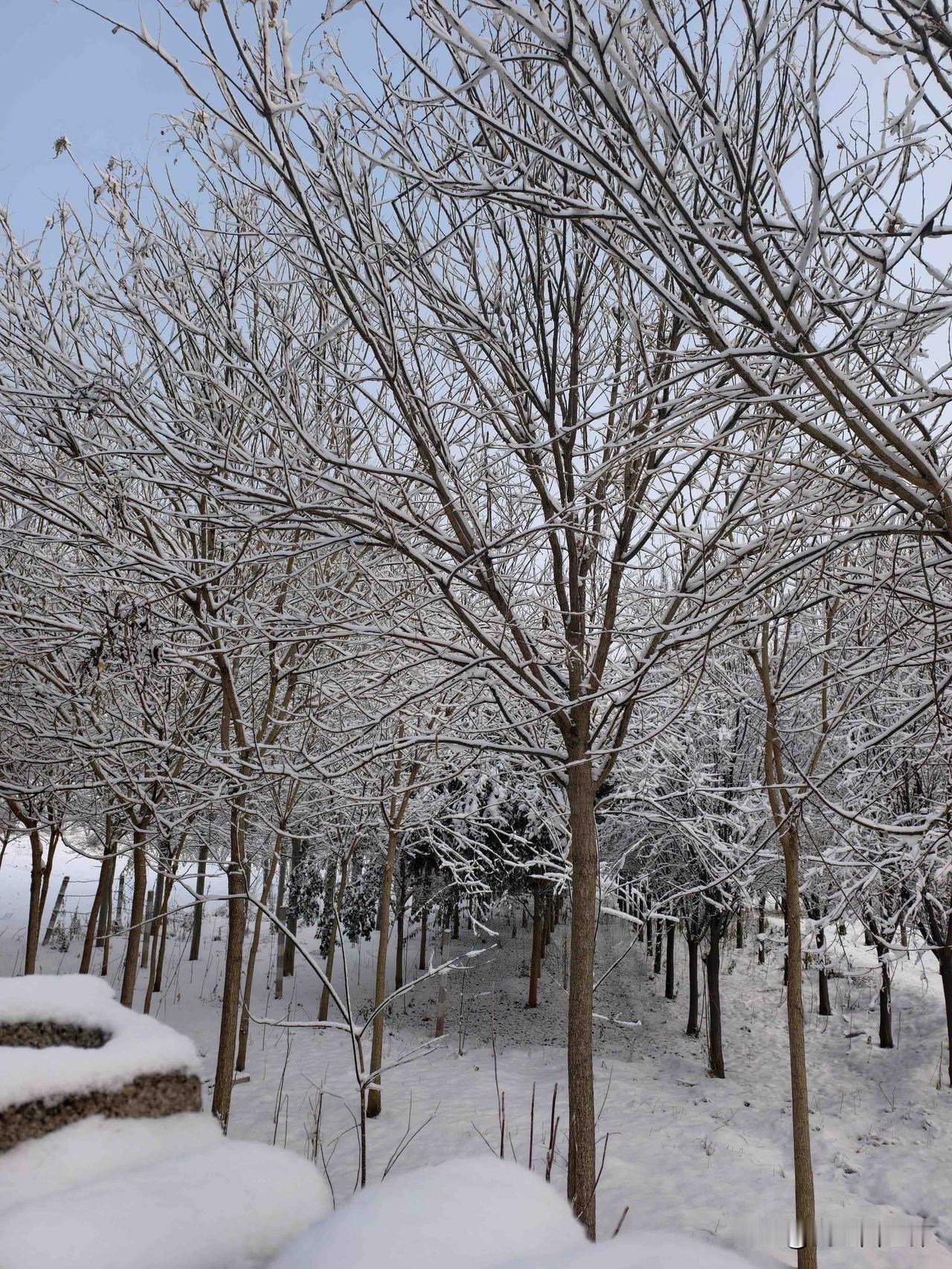 烦死了，我手头有200克婆婆留下的老黄金，纯度肯定没问题。金价一涨，我就跑去金店