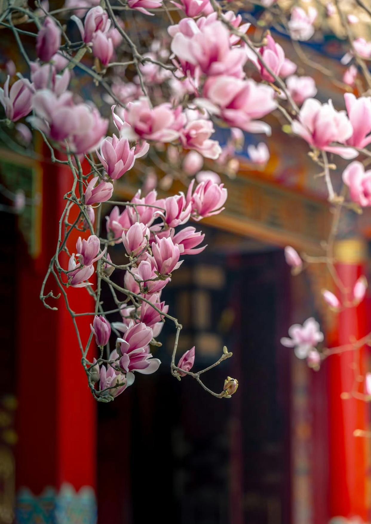 人要拥有“翻篇”的能力过去发生的事，无论好与坏，过去了就不要再去想那么多