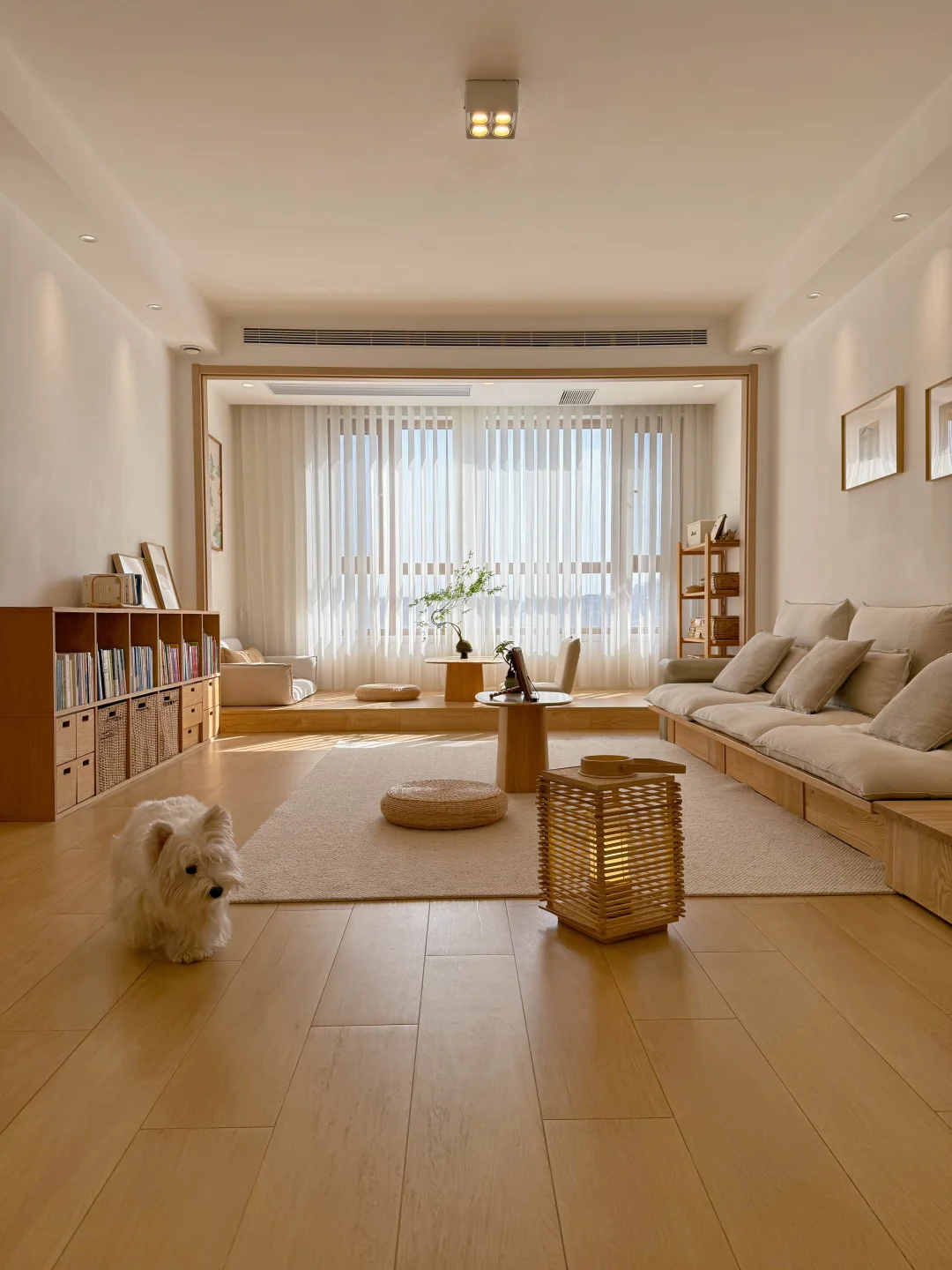 留白治愈小家，每一帧都是慢生活