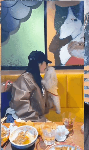 看到这个“人狗情未了”的视频，我再次给所有未婚男生一个真心忠告：这类女生一定要趁