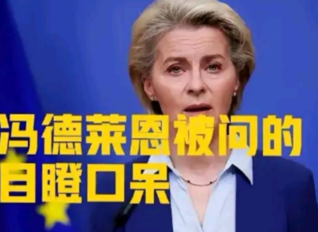 12月欧盟会议，冯德莱恩刚宣布“永久停购俄油气”，芬兰代表突然问：“若特朗普对委