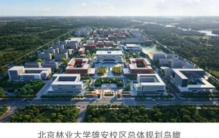 网传北科、北交、北林、地大2027年起启用雄安校区，按学院搬还是按年级搬，如