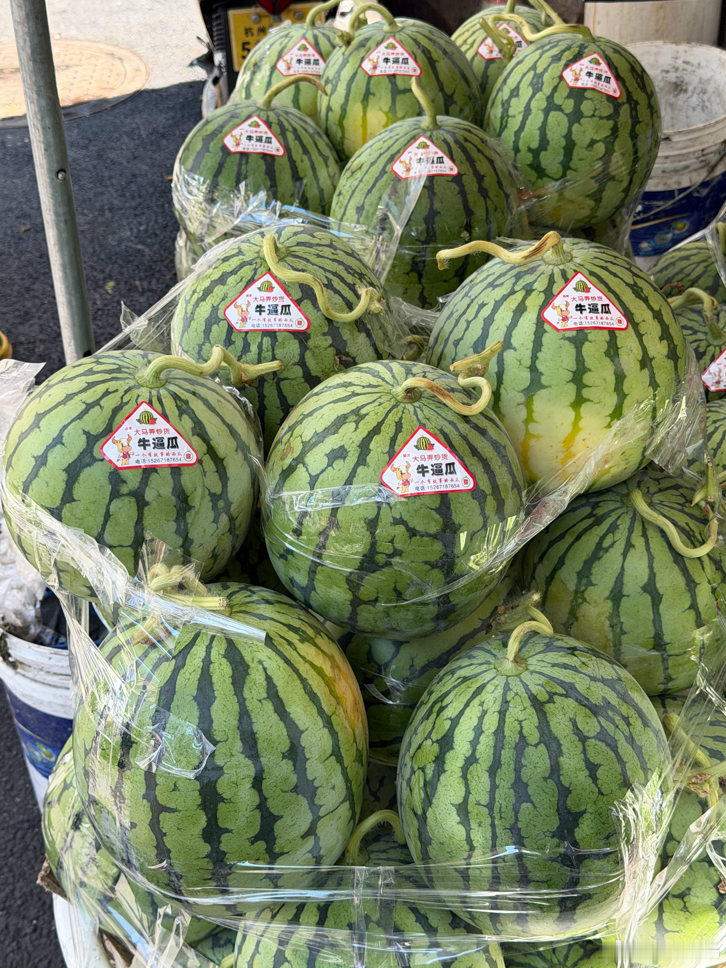 第一次见，瓜名叫“牛逼瓜”