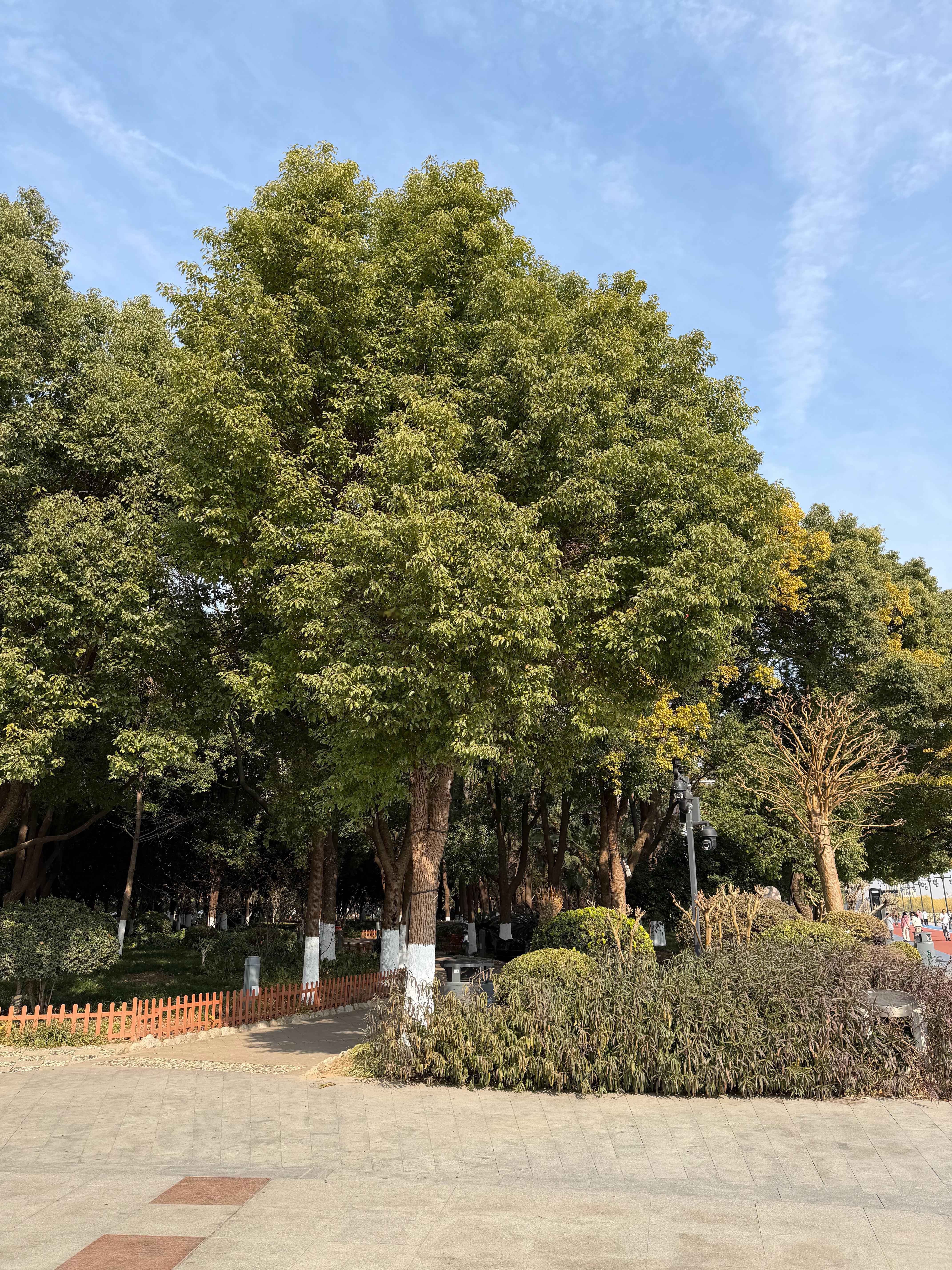 iPhone17ProMax24MP，GalaxyS25Ultra