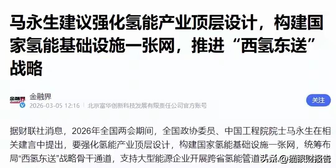 跟你说个事。2023年有个工程被纳入了规划，叫“西氢东送”。到2025年的时