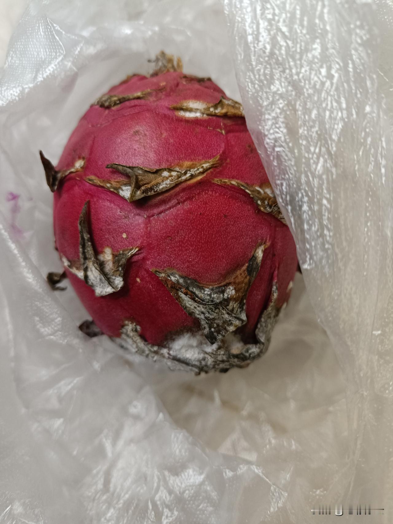 特价水果真的不能买啊！昨天去超市买东西，看到有特价火龙果，10块钱4个，感觉