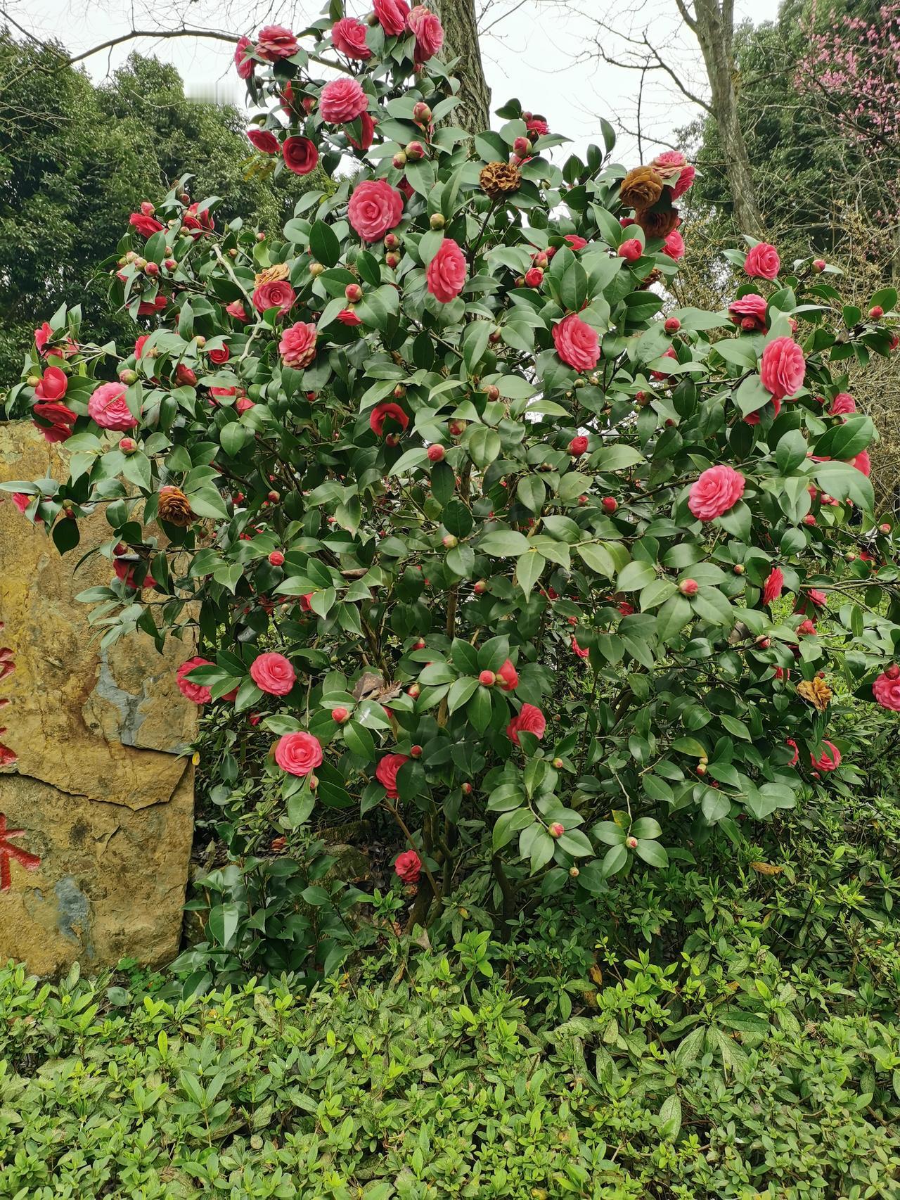 有网友说，没出两个月，他熟悉的三位老师走了。这三个人，都没能活到退休年龄。听到这