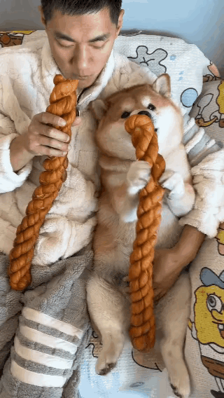 谁懂啊！狗狗这美滋滋的小模样，心里肯定在想：跟你在一起，天天都像过节，没白来这世