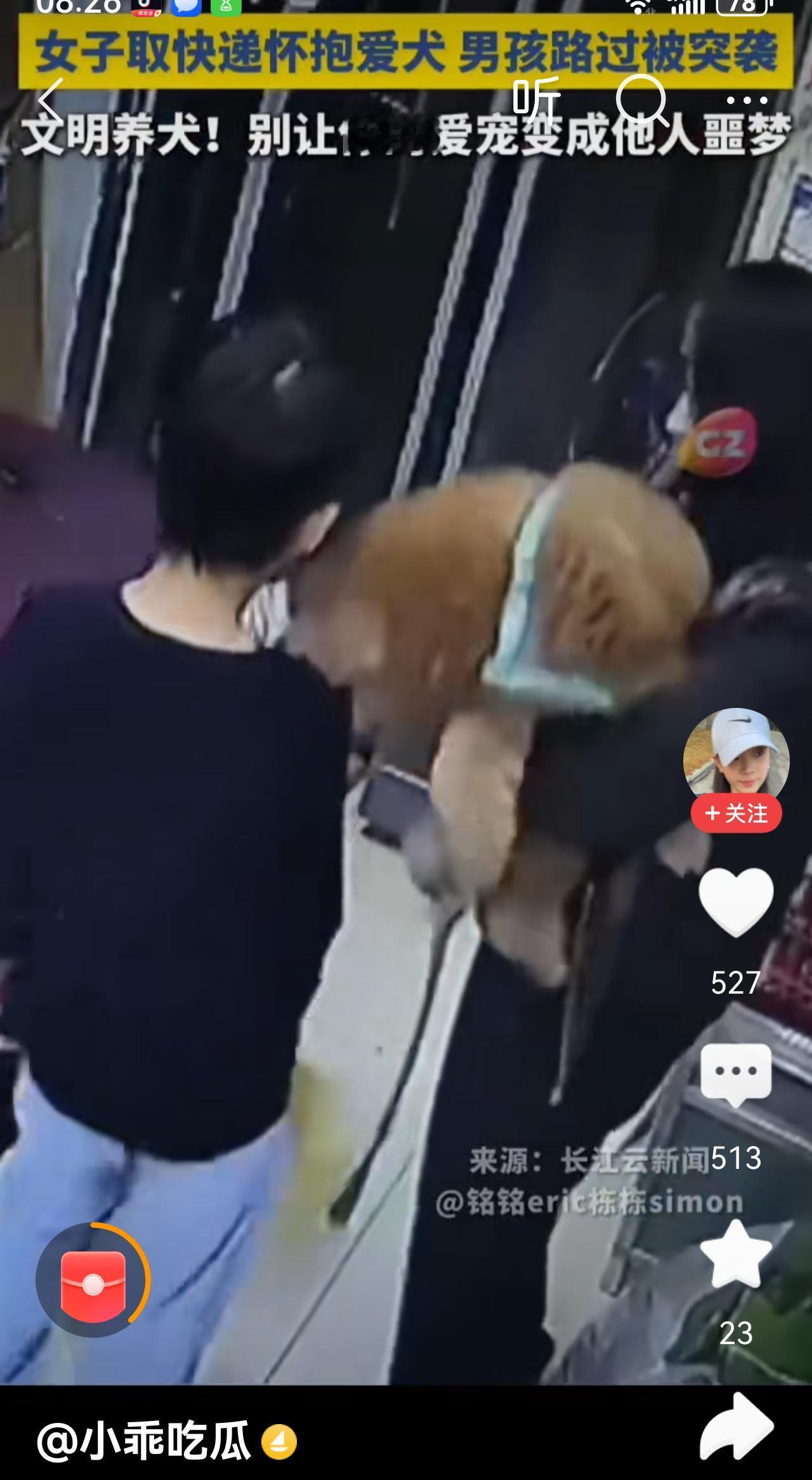 这狗是疯了吧，怎么被狗妈抱在怀里还突然咬人呢？这种咬人的狗该被安乐了