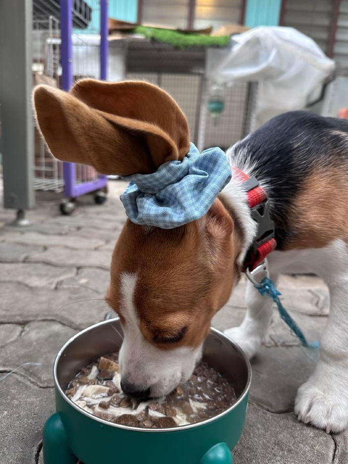 吃饭前的仪式感先扎头发