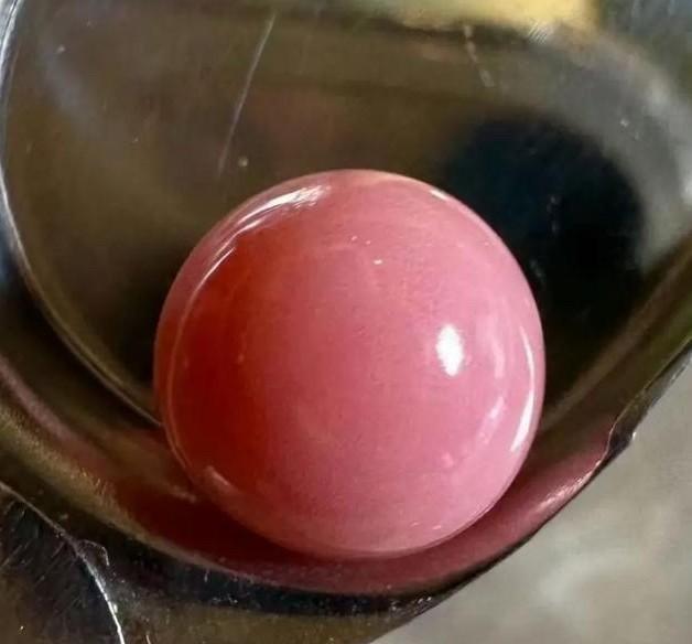 2021年的一天，家住安徽蚌埠一女子，花费59元从海鲜摊上购买了几只大海螺，谁知