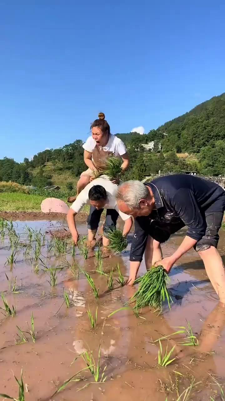 哎呦我的妈，哈哈哈哈。