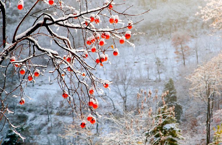 立冬来了！冬天的第一炮，别只会穿羽绒服，我还告诉你这些秘密嘿，朋友们！又