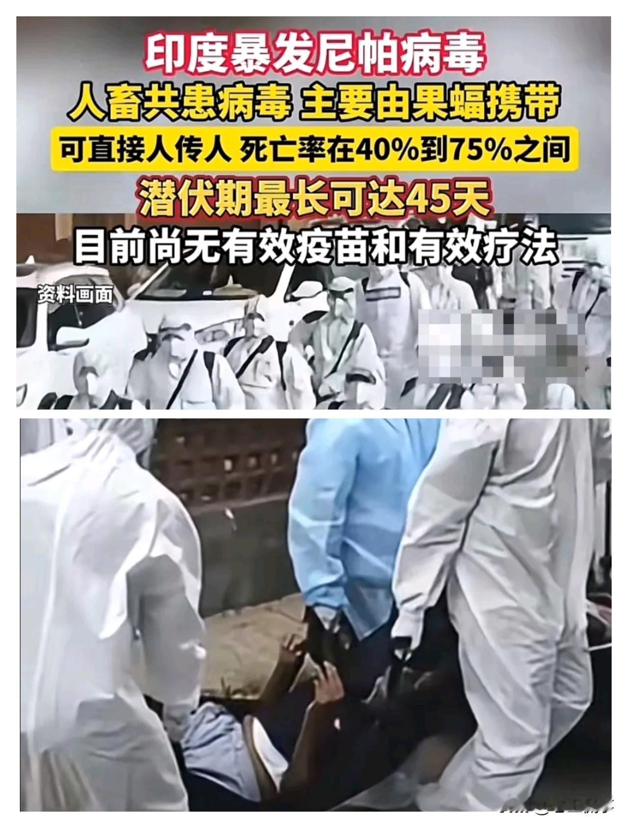 天呐，看新闻报道，这次印度的尼帕病毒来势汹汹，已经出现人传人。而且死亡率在4