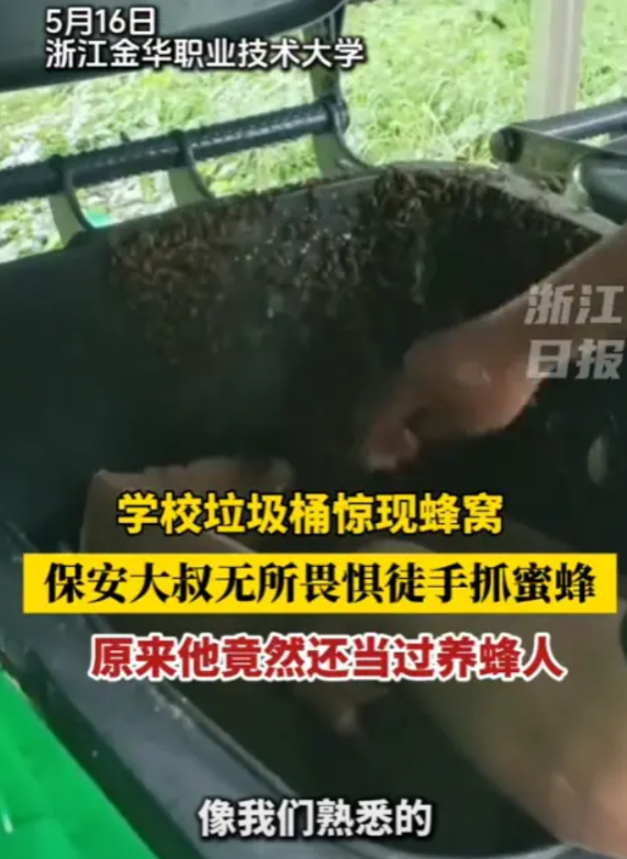 “这保安大叔太狠了！”5月16日，浙江，一大学垃圾桶惊现蜂窝，保安大叔听说后，立
