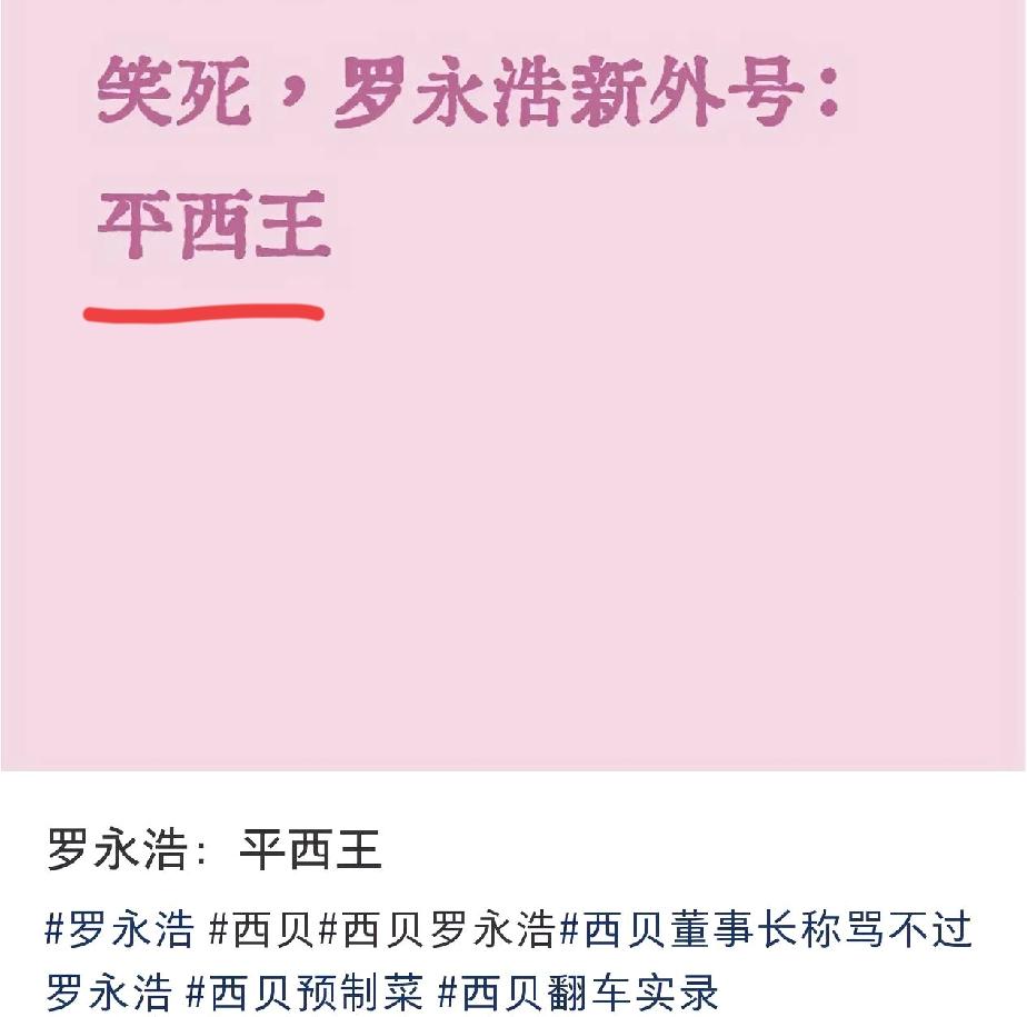 这届网友太有才了，罗永浩这一波获得一个称号:平西王！[捂脸哭]1，西门子躺枪